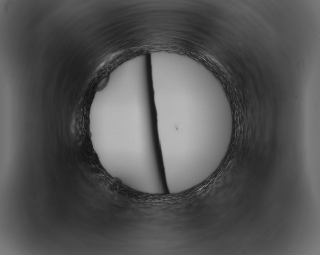 X0000086970776200705071356