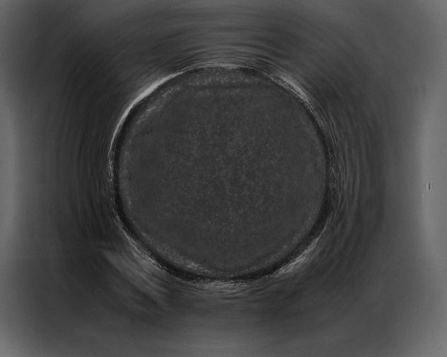 X0000086970779200705071356