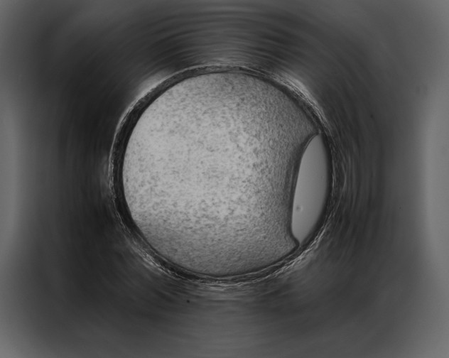 X0000086970780200705071356