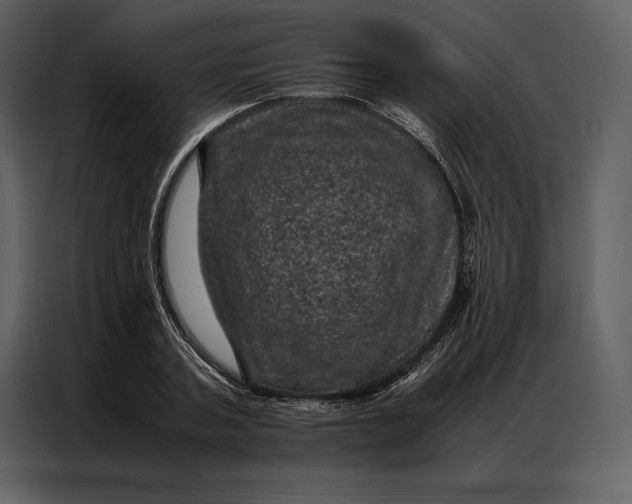 X0000086970787200705071356