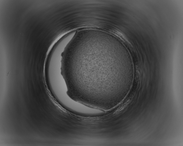 X0000086970788200705071356