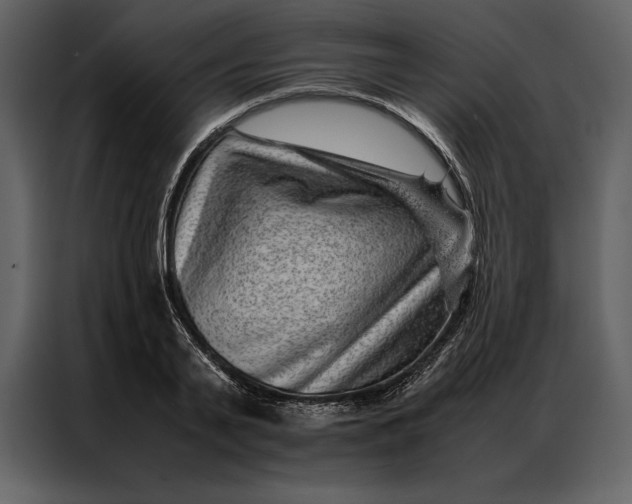 X0000086970791200705071356