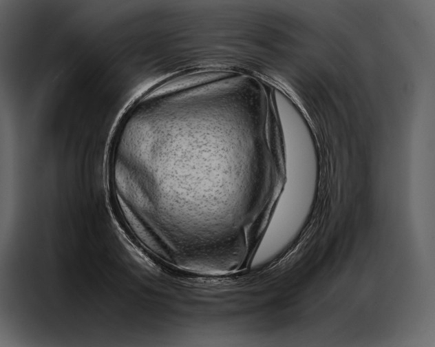 X0000086970795200705071355