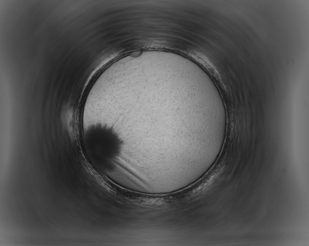 X0000086970798200705071355