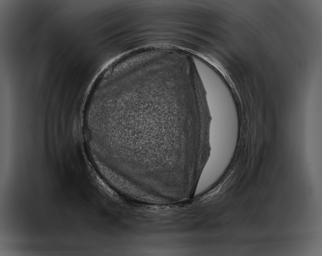 X0000086970799200705071355