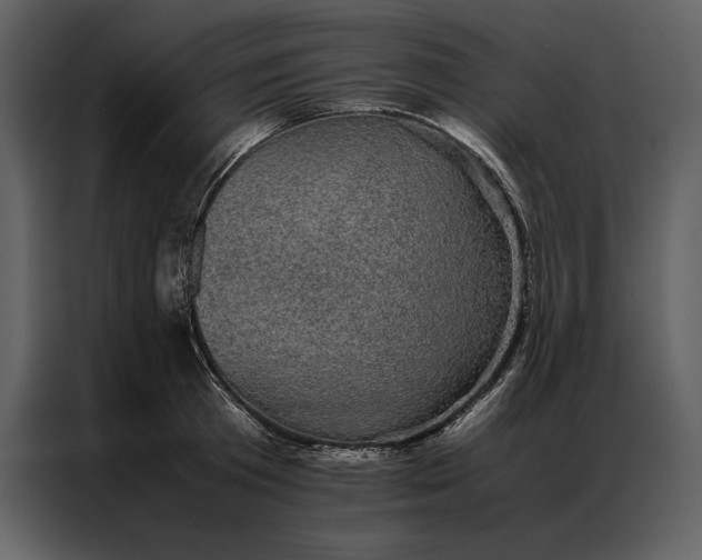 X0000086970801200705071355