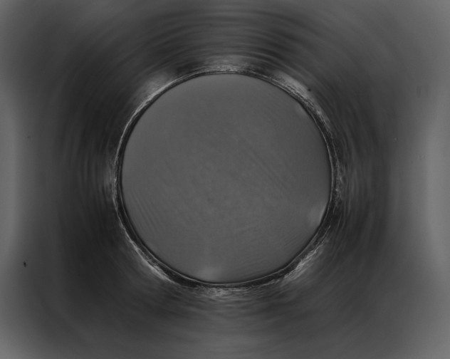 X0000086970802200705071355