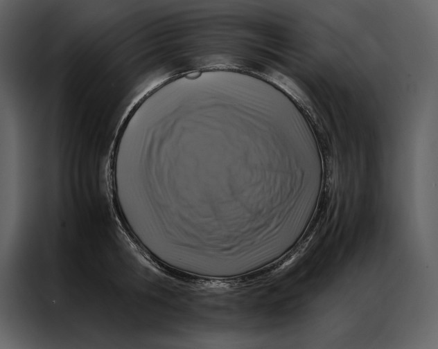 X0000086970806200705071355