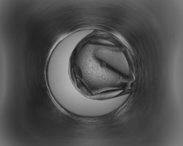 X0000086970813200705071355