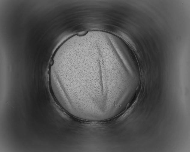 X0000086970814200705071355