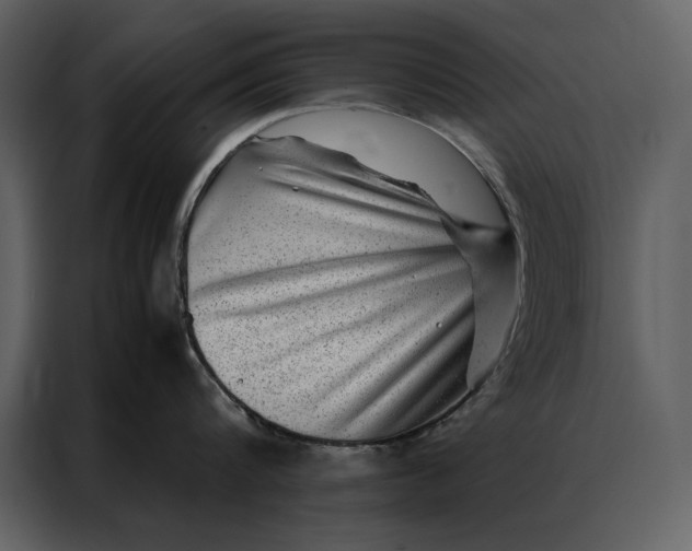 X0000086970816200705071355