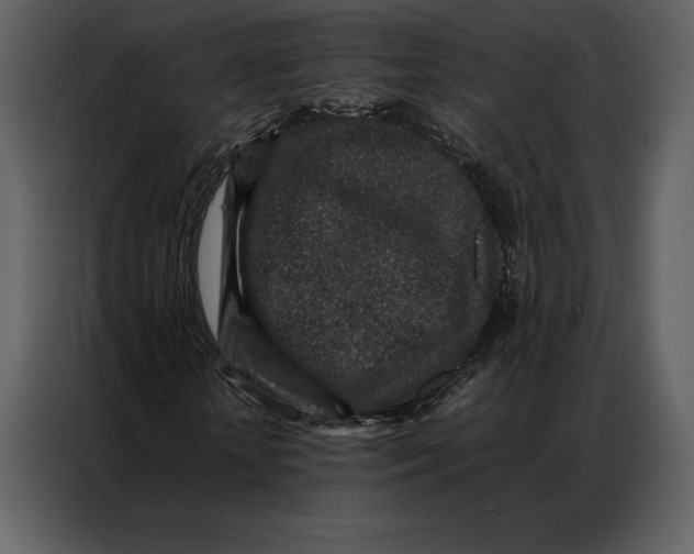 X0000086970818200705071355