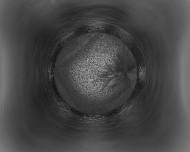 X0000086970819200705071355