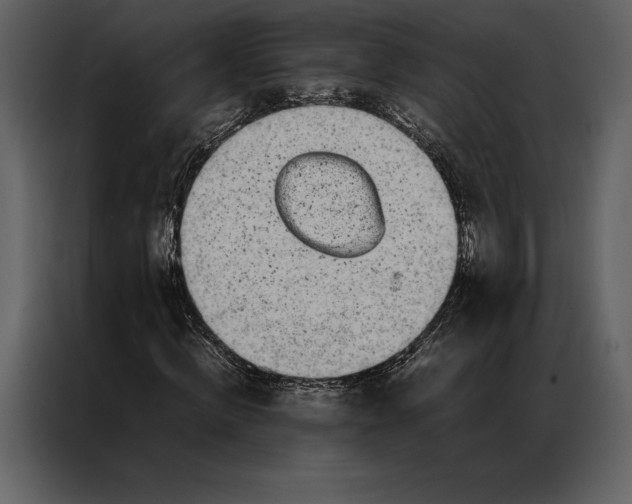 X0000086970820200705071355