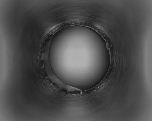 X0000086970822200705071355