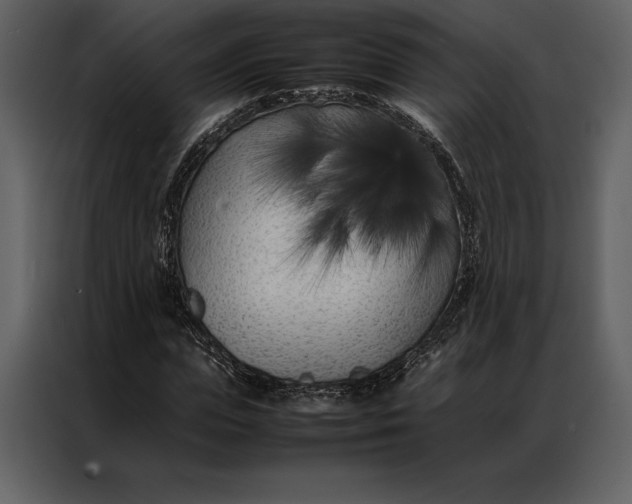 X0000086970823200705071355