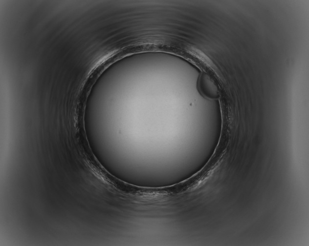 X0000086970826200705071355