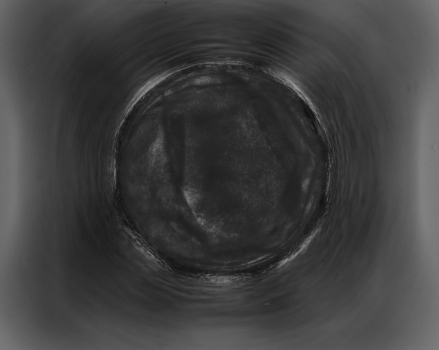 X0000086970829200705071355