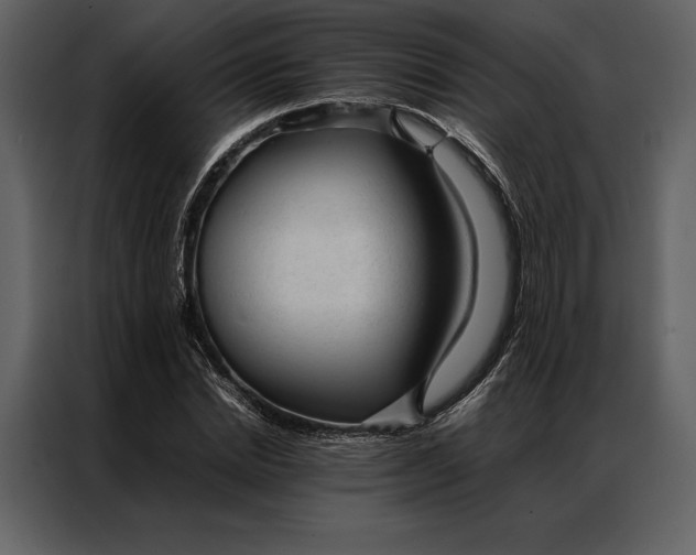 X0000086970830200705071355