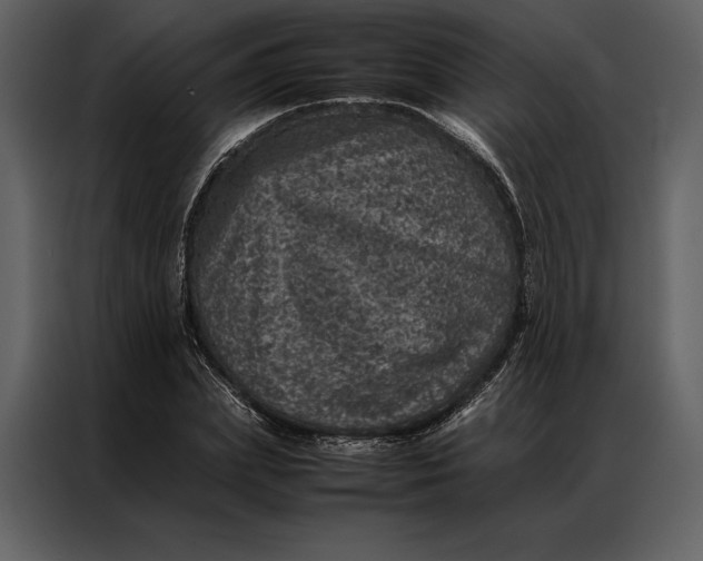 X0000086970831200705071355