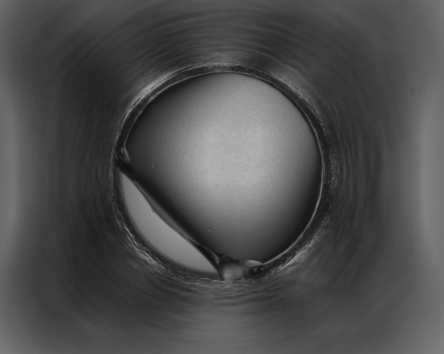 X0000086970834200705071355