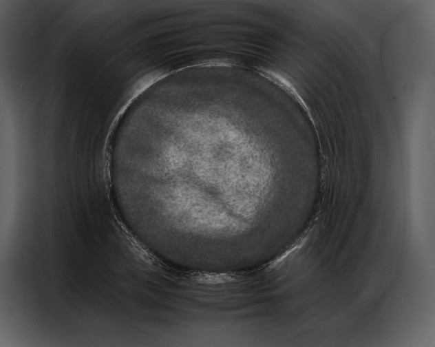 X0000086970835200705071355