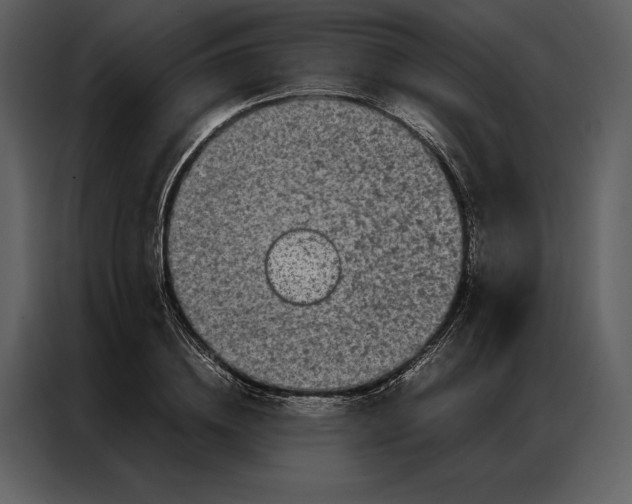 X0000086970836200705071355