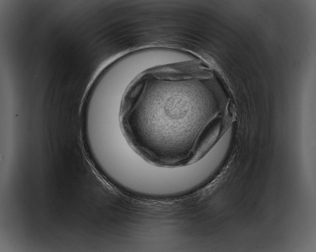 X0000086970838200705071355