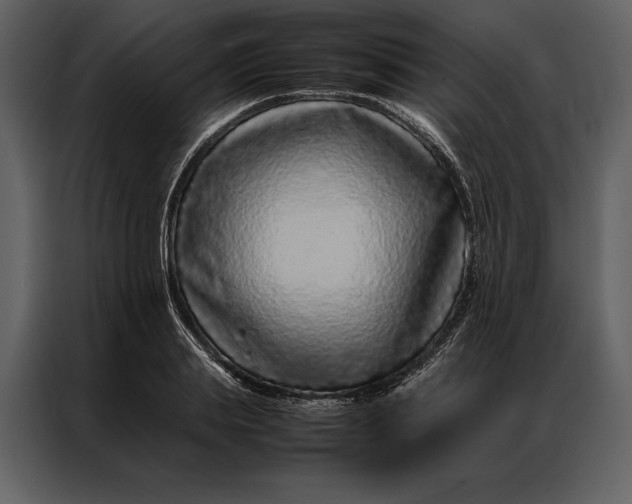 X0000086970839200705071355