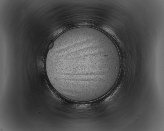 X0000086970841200705071355