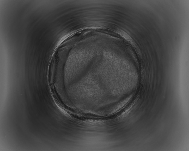 X0000086970842200705071355