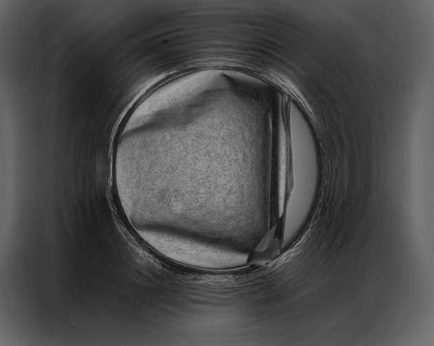 X0000086970844200705071355