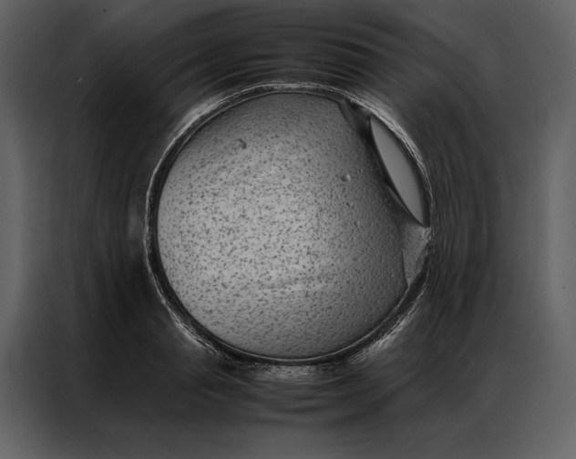 X0000086970845200705071355