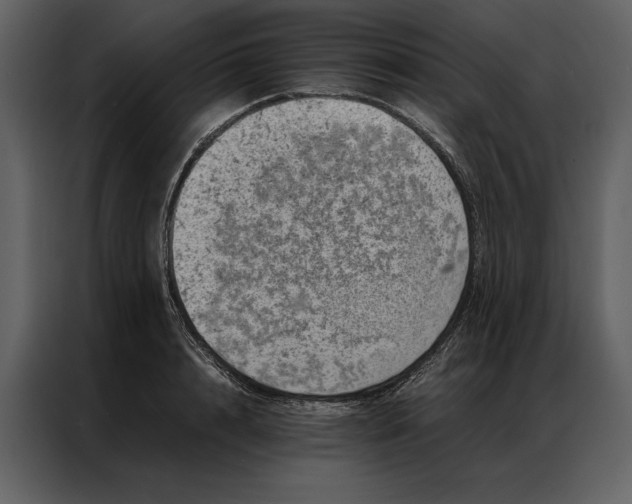 X0000086970848200705071355