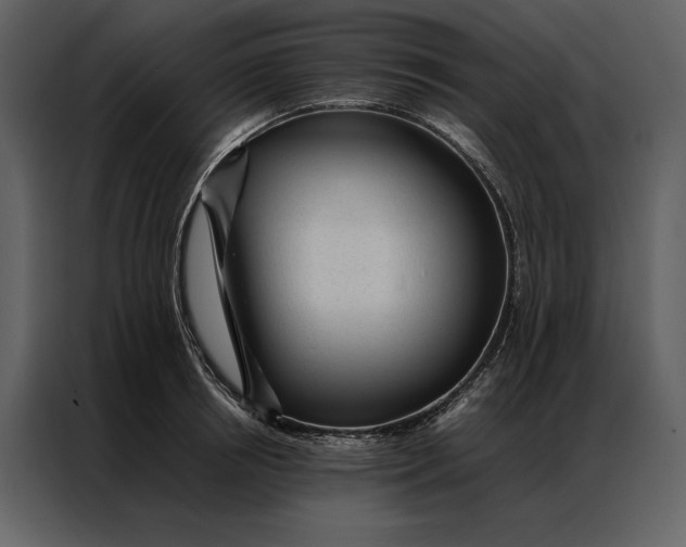 X0000086970850200705071355