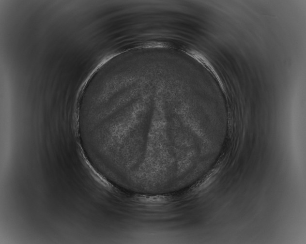 X0000086970851200705071355