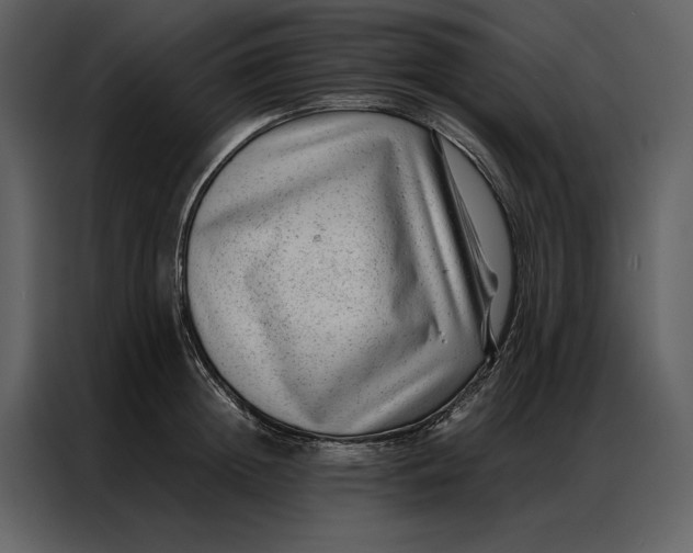 X0000086970852200705071355