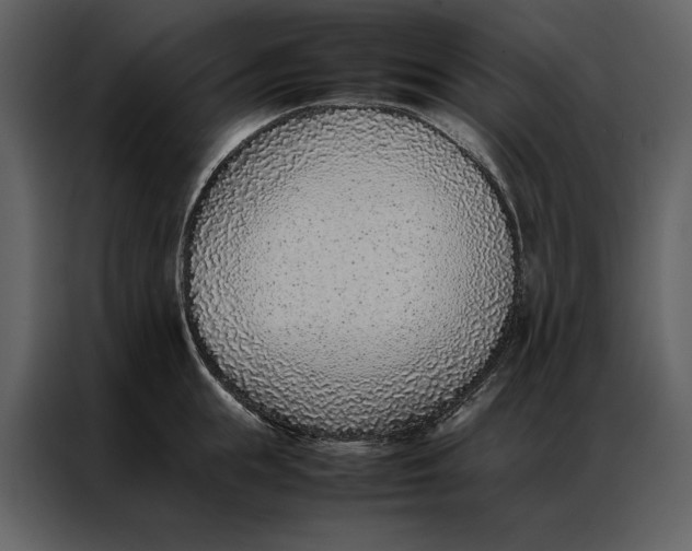 X0000086970855200705071355