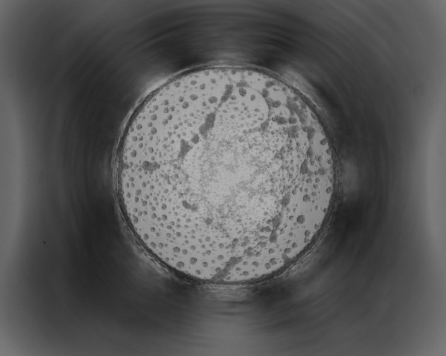 X0000086970856200705071355