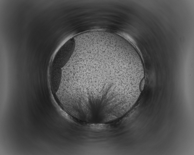 X0000086970859200705071355