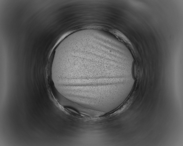 X0000086970860200705071355