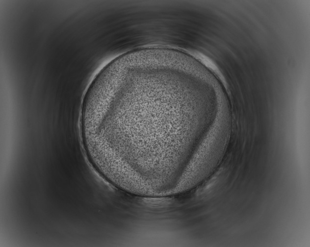 X0000086970863200705071355