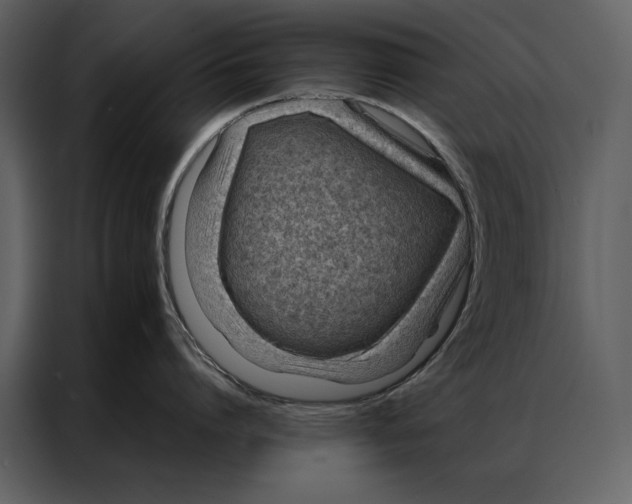 X0000086970864200705071355