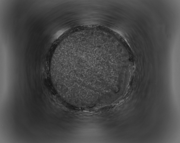 X0000086970871200705071354