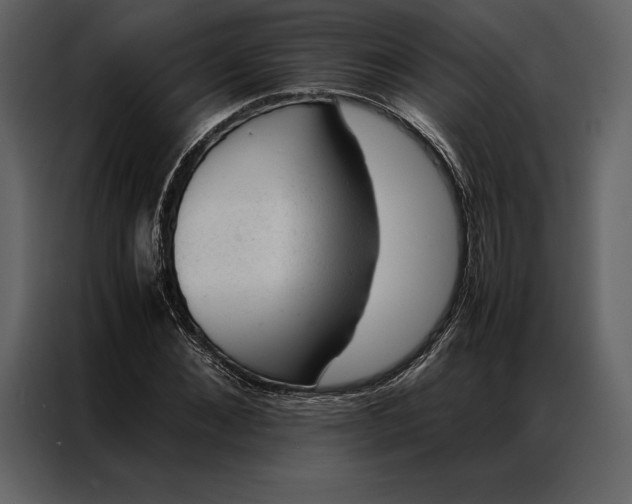 X0000086970876200705071354