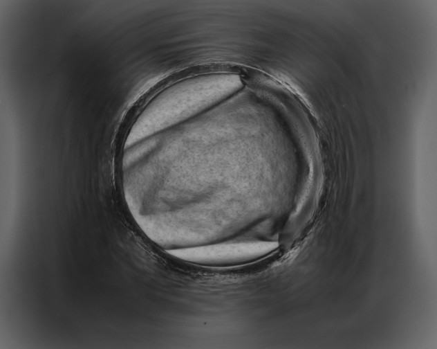 X0000086970877200705071354