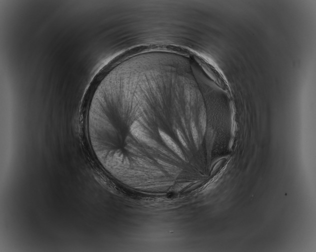 X0000086970879200705071354