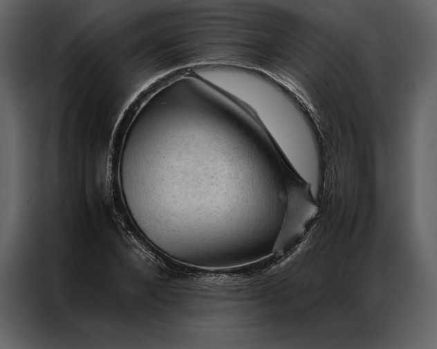 X0000086970880200705071354