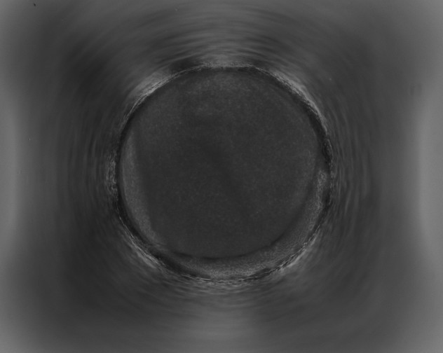 X0000086970881200705071354