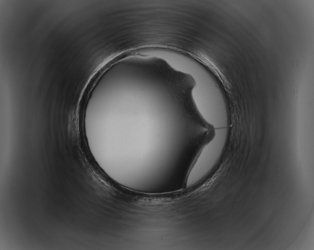 X0000086970884200705071354